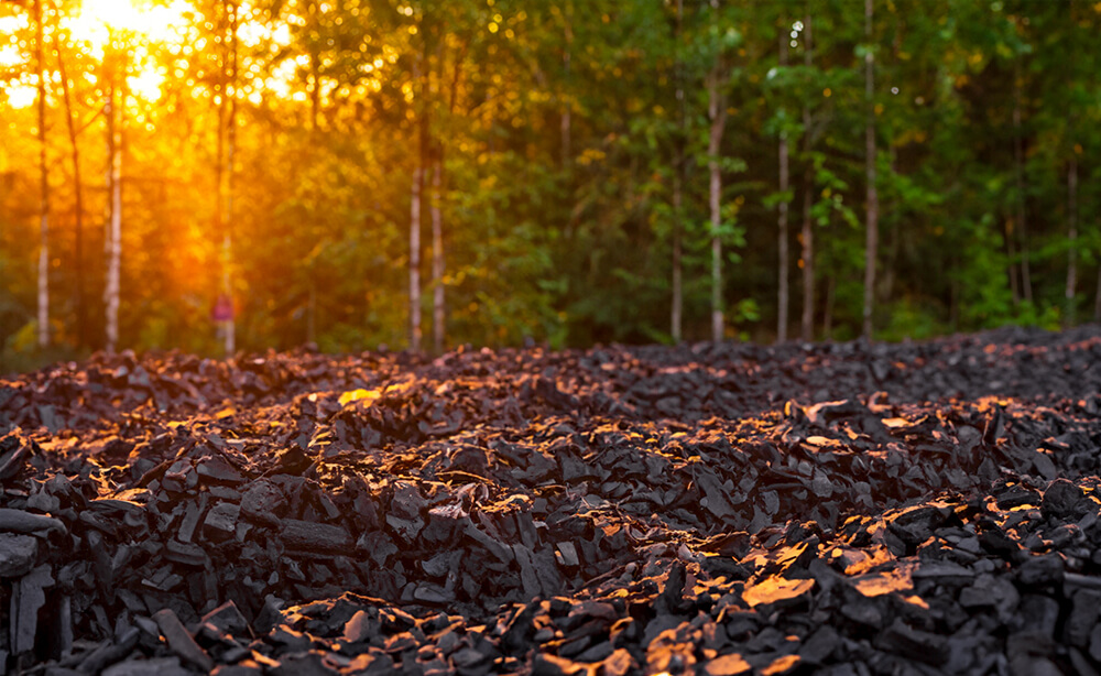 biochar fertilizer trees